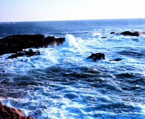 Sea Waves Sea Waves